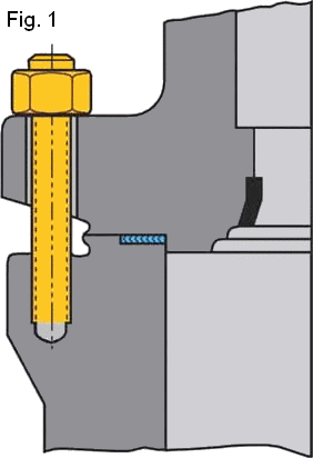 典型的螺栓閥帽閥