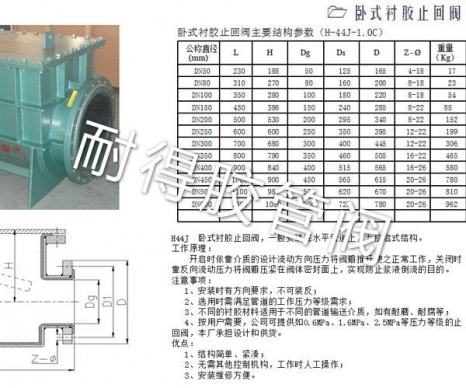臥式襯膠止回閥-3